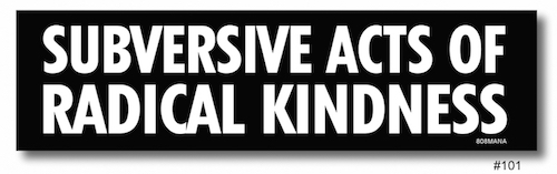 101 SUBVERSIVE ACTS OF RADICAL KINDNESS VINYL STICKER