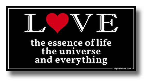 #114 LOVE THE ESSENCE OF LIFE THE UNIVERSE AND EVERYTHING - VINYL STICKER - ©808MANA - BIG ISLAND LOVE LLC - 808MANA - BIG ISLAND LOVE