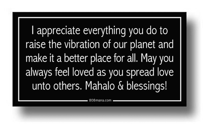 #147 I APPRECIATE EVERYTHING YOU DO TO RAISE THE VIBRATION OF THE PLANET VINYL STICKER - ©808MANA - BIG ISLAND LOVE LLC