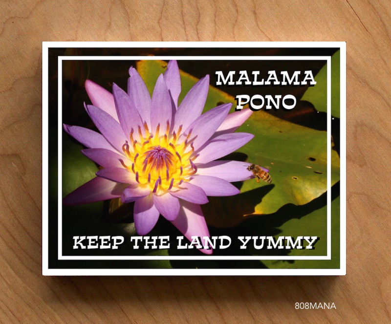 #405 MĀLAMA PONO POST CARD - ©808MANA - BIG ISLAND LOVE LLC