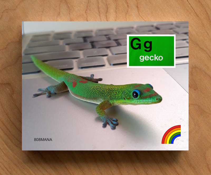 #412 HAPPY GECKO POST CARD - ©808MANA - BIG ISLAND LOVE LLC