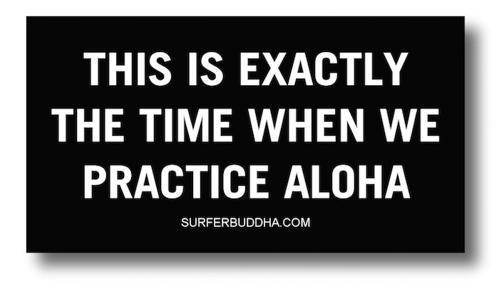#812 THIS IS EXACTLY THE TIME WHEN WE PRACTICE ALOHA - VINYL STICKER  - ©808MANA - BIG ISLAND LOVE LLC - ALL RIGHTS RESERVED