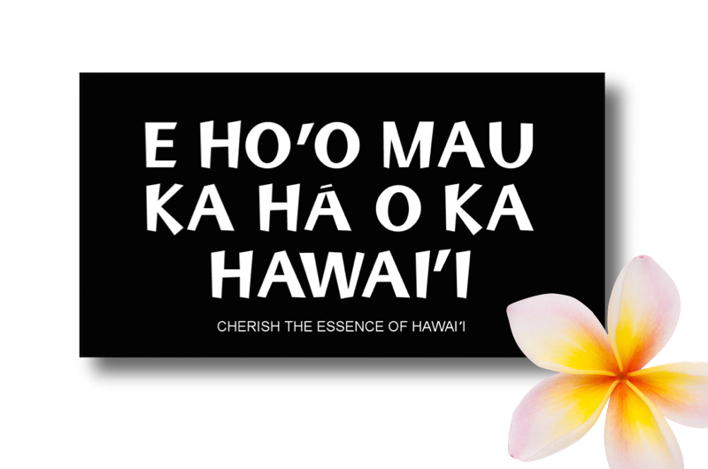 FREE STICKER