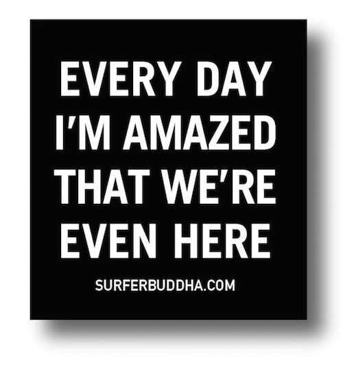 #843 EVERY DAY I'M AMAZED THAT WE'RE EVEN HERE - VINYL STICKER - ©808MANA - BIG ISLAND LOVE LLC - ALL RIGHTS RESERVED