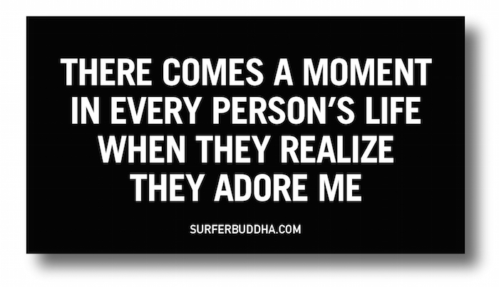 #872 THERE COMES A MOMENT IN EVERY PERSONS LIFE WHEN THEY REALIZE THEY ADORE ME - VINYL STICKER - ©808MANA - BIG ISLAND LOVE LLC