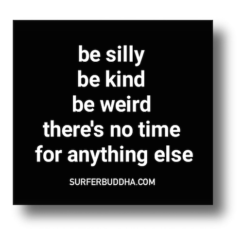 899 BE SILLY BE KIND BE WEIRD THERE’S NO TIME FOR ANYTHING ELSE - VINYL STICKER - ©808MANA - BIG ISLAND LOVE LLC