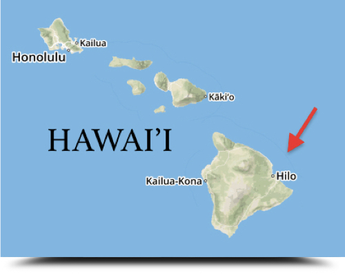 Hilo with Arrow